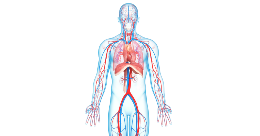 medical wiring key applications